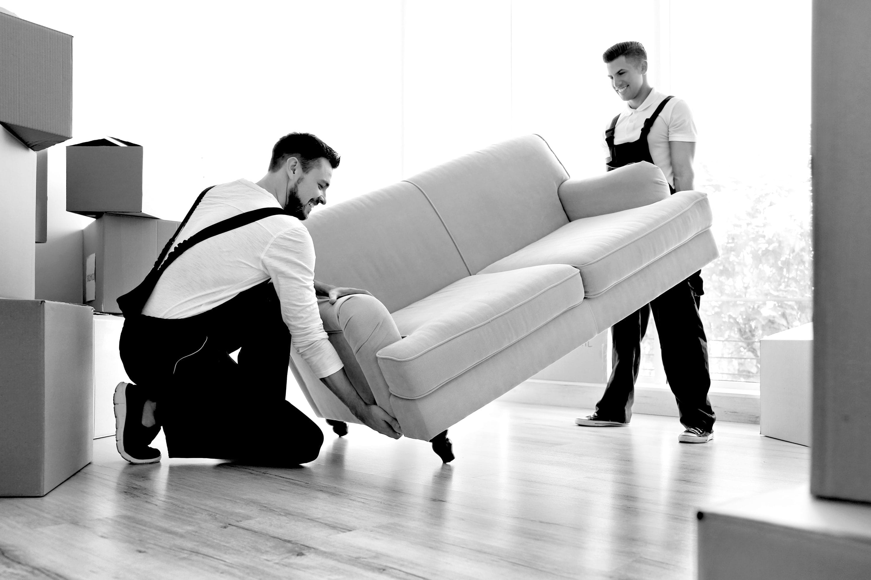 Two Movers Lifting a Sofa in a Bright Room Filled with Boxes
