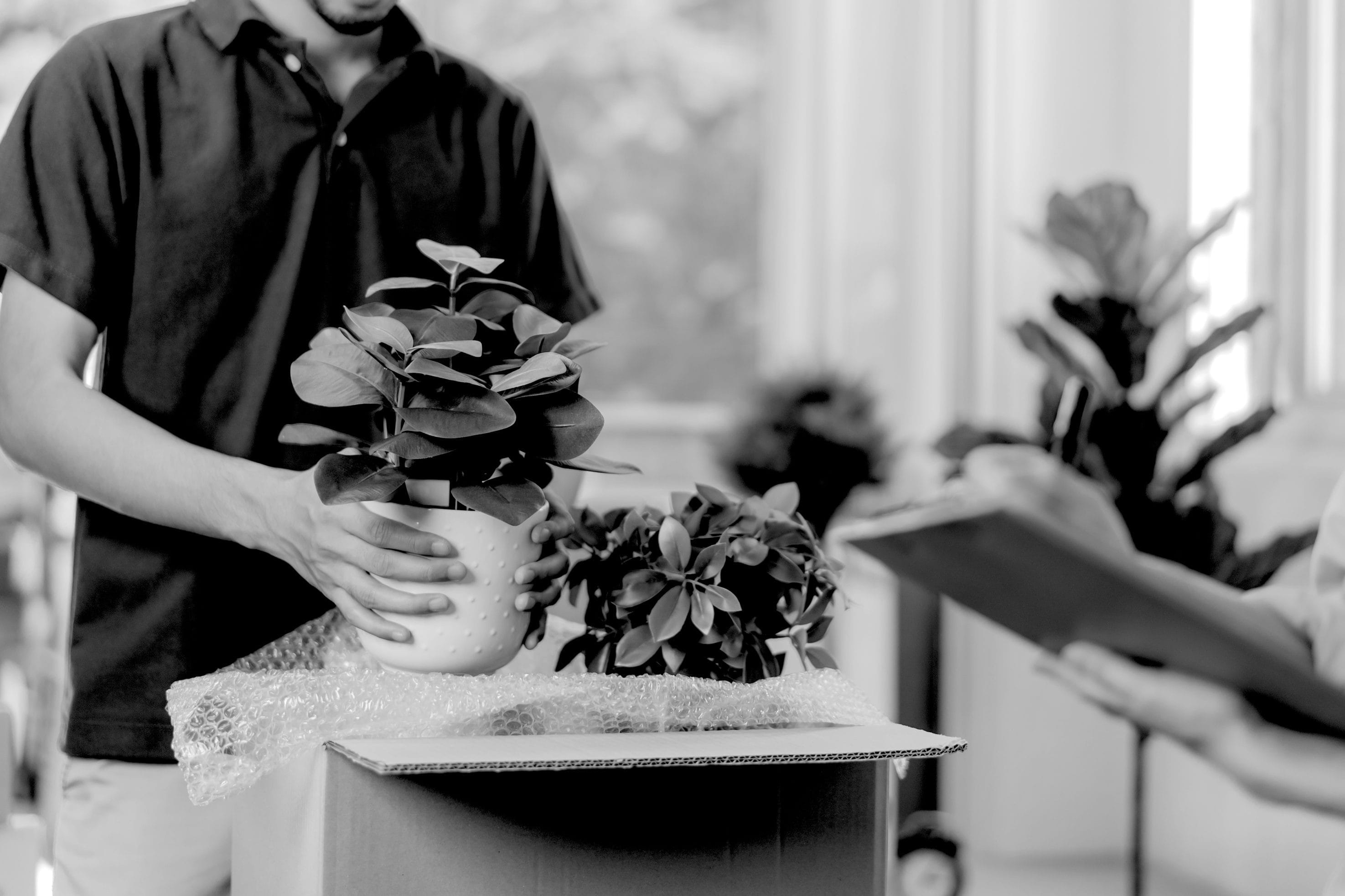 Man Packing a Potted Plant into a Box
